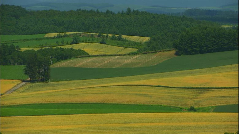 Virtual Trip 北海道·夏
