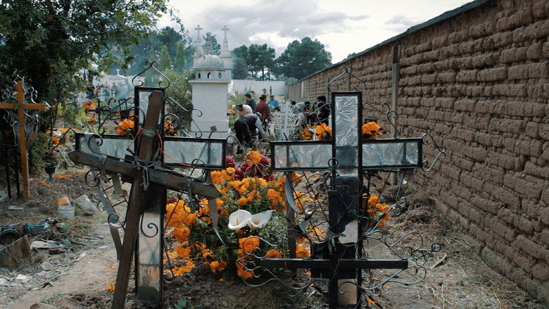 кадр из фильма Senderos Amarillos