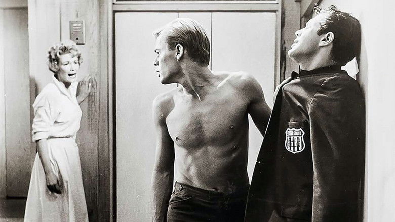 кадр из фильма Roadracers