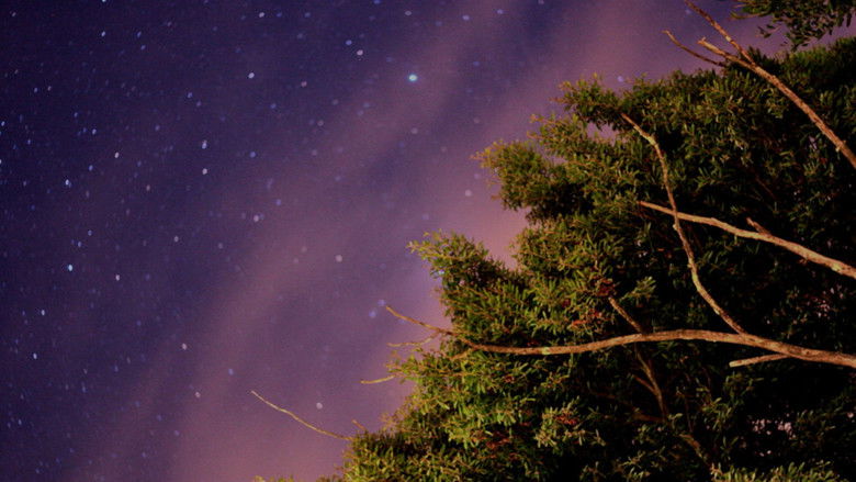 All the Wrong Places