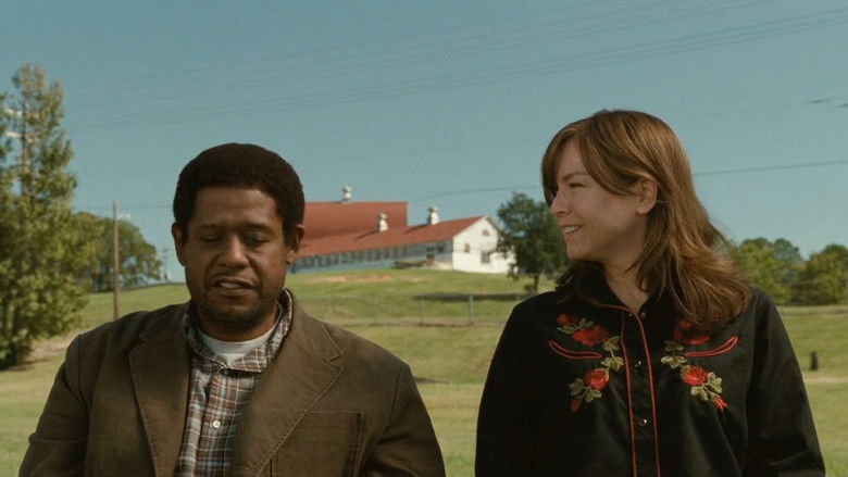 кадр из фильма Моя любовная песня