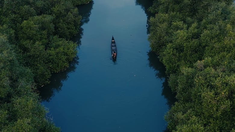 кадр из фильма ആവാസ വ്യൂഹം