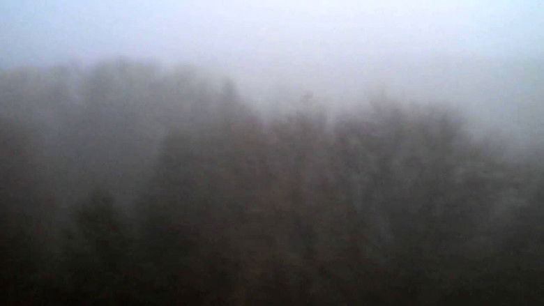 кадр из фильма The Land Above The Trees