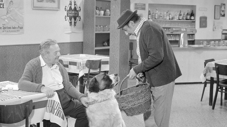 кадр из фильма Bohoušův syn