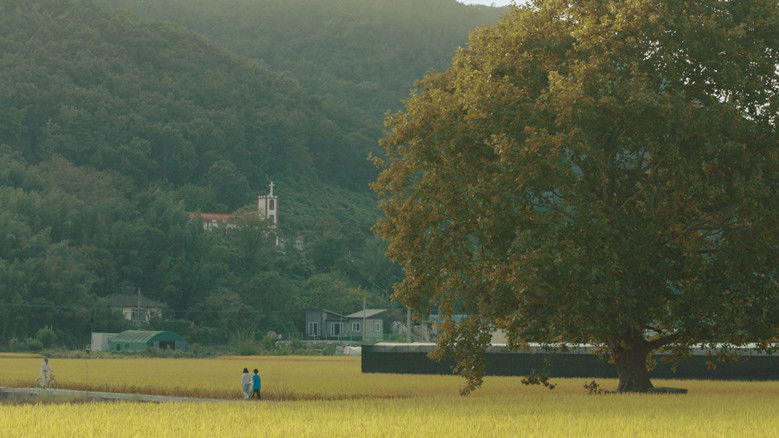 가을바람 불르면