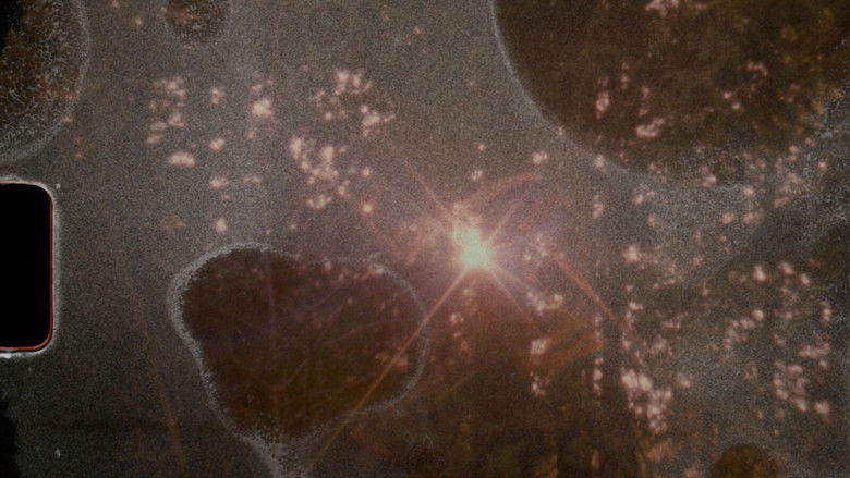 кадр из фильма Resistance Meditation