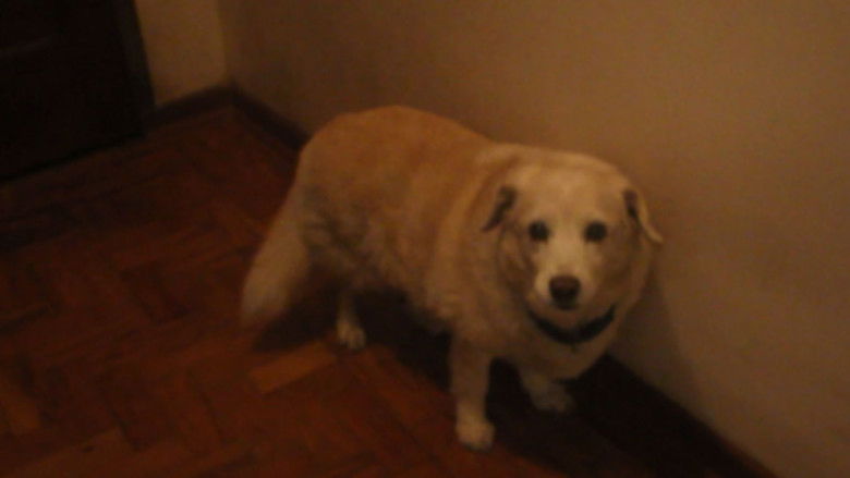 кадр из фильма Miranda: Natureza Maligna 2