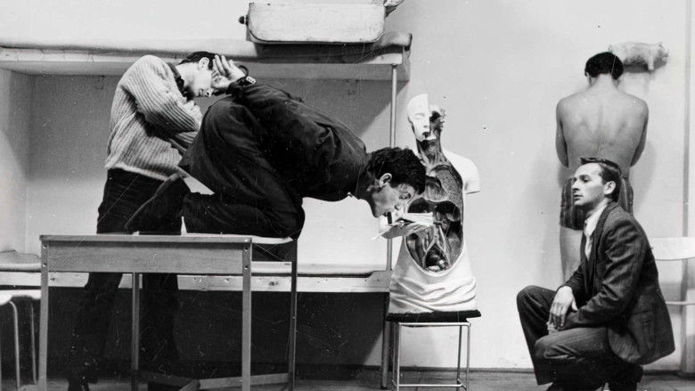 кадр из фильма Bariera