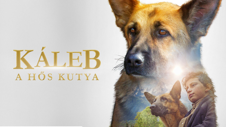 кадр из фильма Моя собака — герой