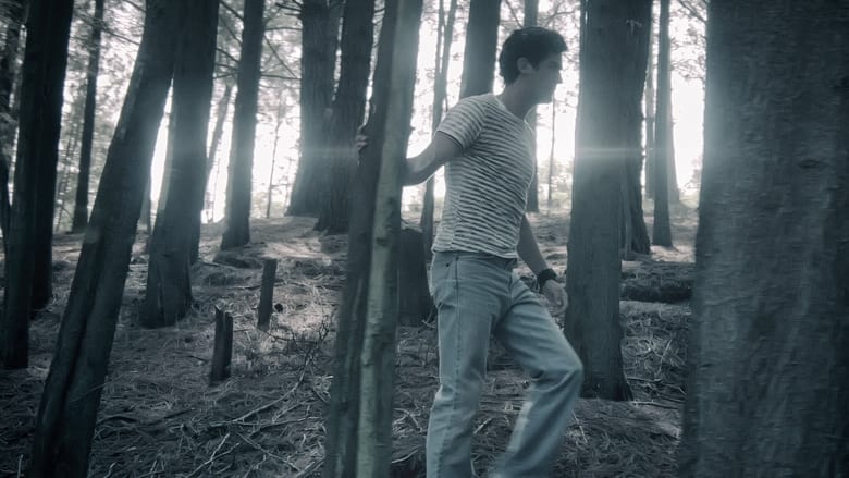 кадр из фильма Ромина