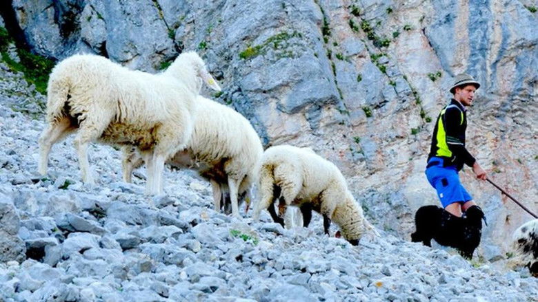 кадр из фильма Schafstage