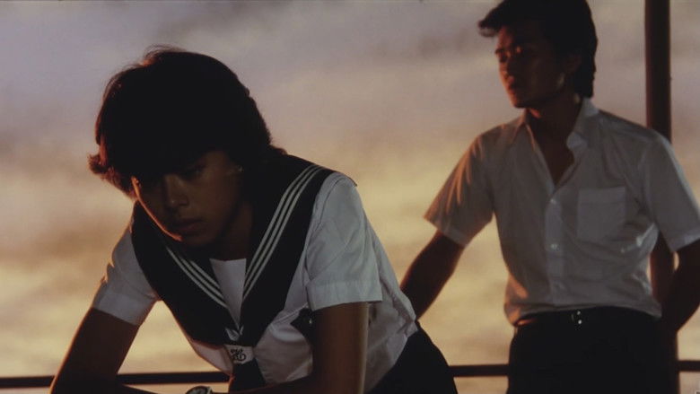 кадр из фильма 夏の秘密