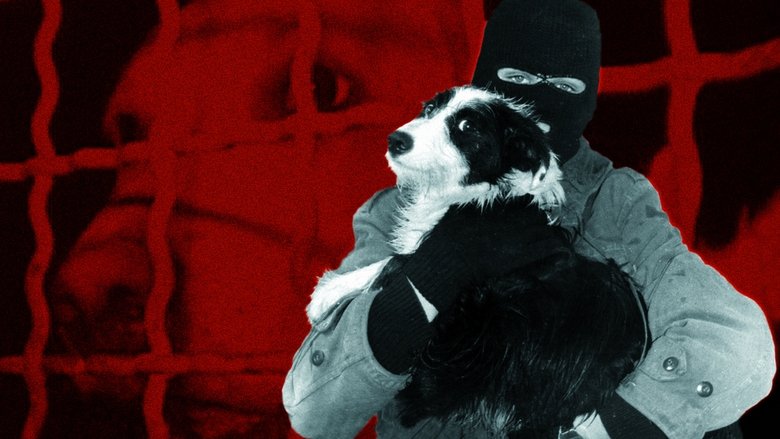 кадр из фильма Behind the Mask