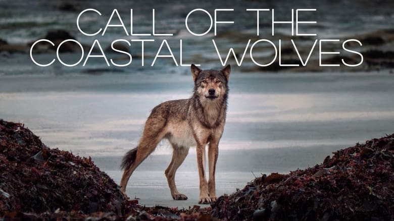 кадр из фильма Call Of The Coastal Wolves