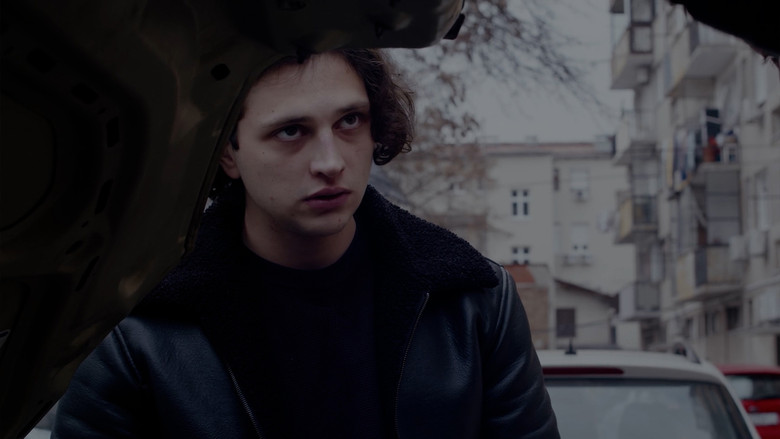 кадр из фильма Robert Flies