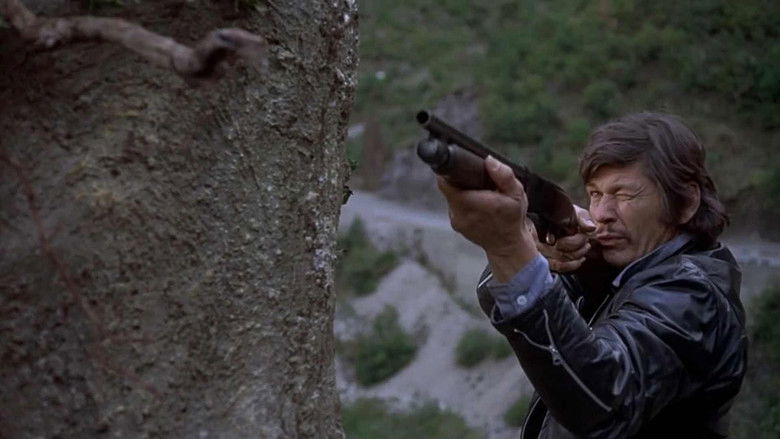 кадр из фильма Механик