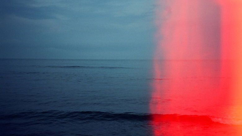 кадр из фильма Remember This Place