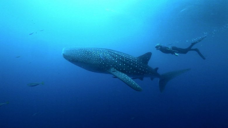 кадр из фильма Shark Night