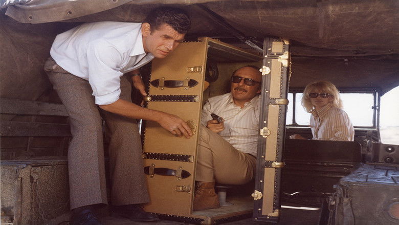 кадр из фильма Дипломатический багаж