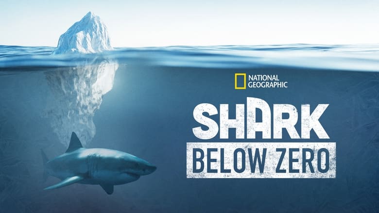 кадр из фильма Shark Below Zero