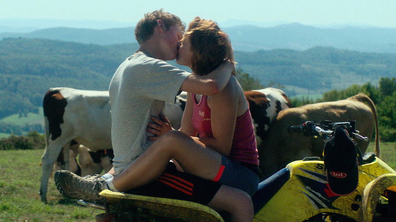 кадр из фильма Святая корова