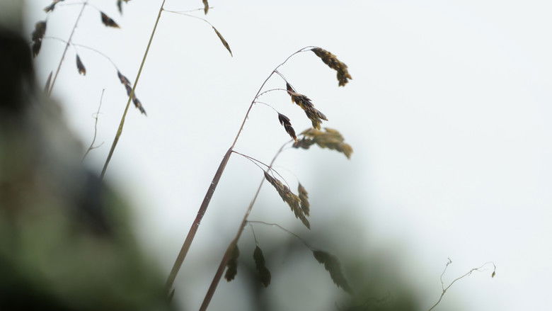 кадр из фильма Después del Glaciar