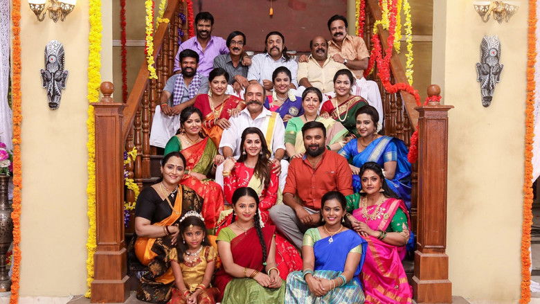 кадр из фильма ராஜவம்சம்