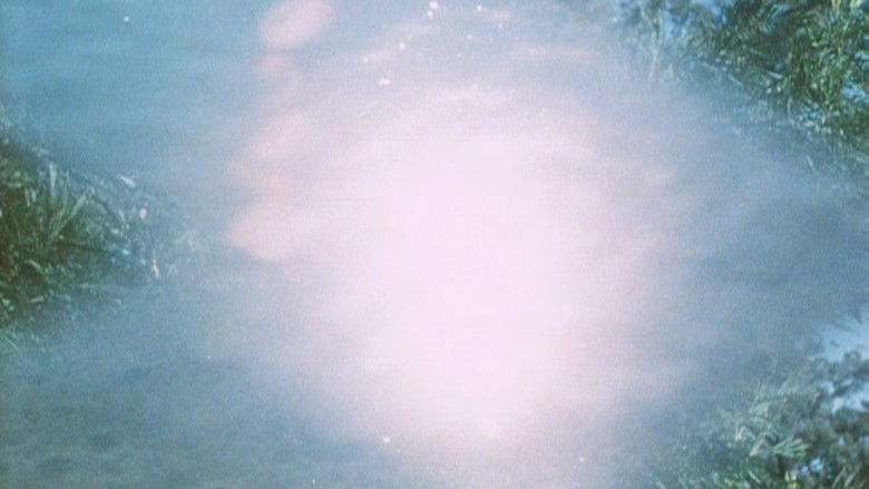 кадр из фильма Australian Bush