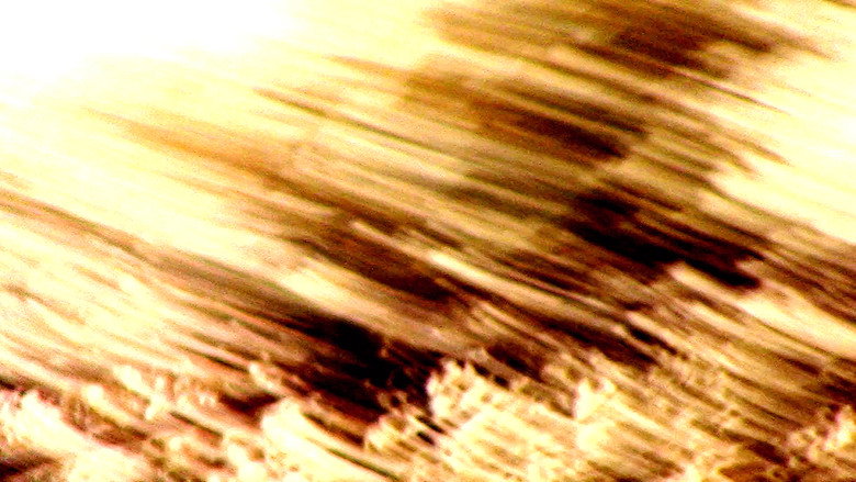 кадр из фильма dentro de la luz; un fuego