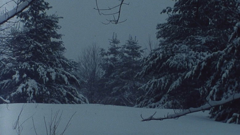 кадр из фильма The Animal