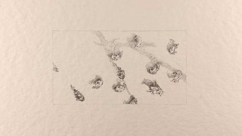 La bride - The dog's drama