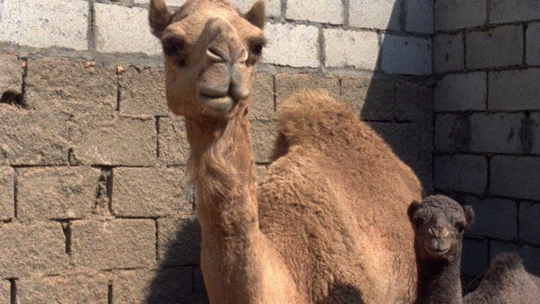 кадр из фильма Otherhood