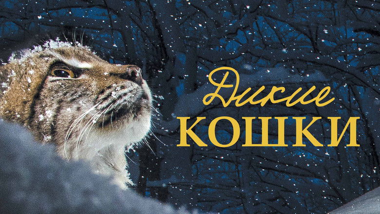 кадр из фильма Дикие кошки