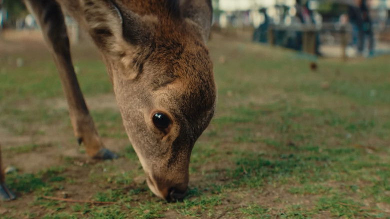 кадр из фильма Japan