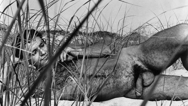 кадр из фильма Rip Colt's Sex Rated Home Movies 3