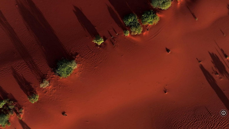 кадр из фильма Wild Tamil Nadu