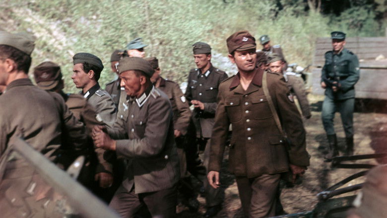 кадр из фильма Последний свидетель