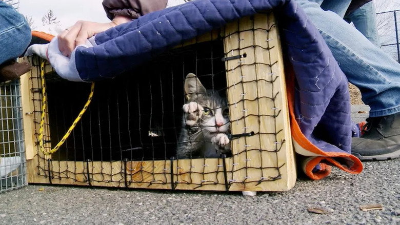 кадр из фильма The Cat Rescuers