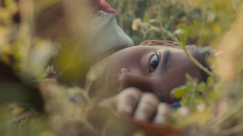 кадр из фильма Humans in the Loop