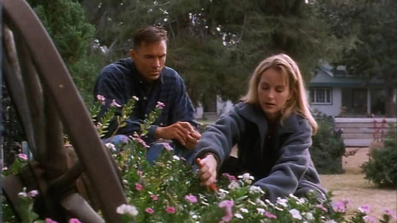 кадр из фильма Динамит