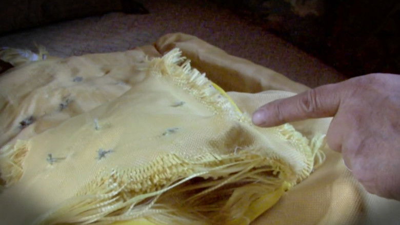 кадр из фильма Test Shoot