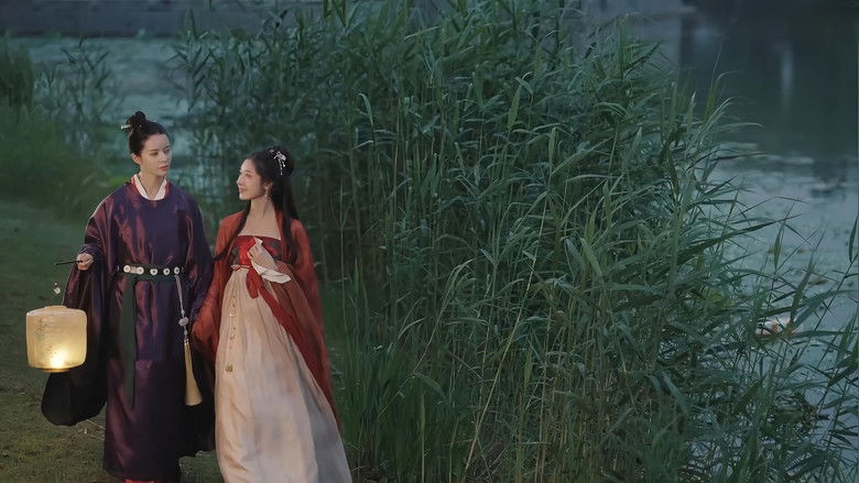 кадр из фильма 九世狸奴的寻找