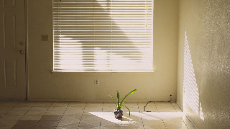 кадр из фильма The Fruit Tree