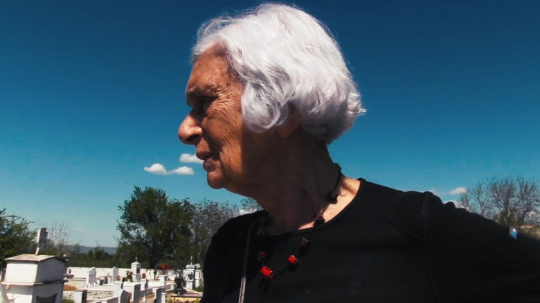 кадр из фильма Στη χώρα των τραυμάτων