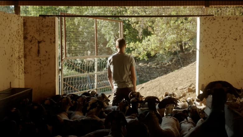 кадр из фильма Hijos de Mayo