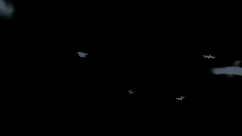 кадр из фильма A Letter to Kofi Burrell