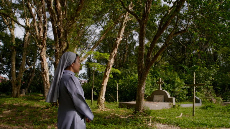 кадр из фильма Sunset at Alverno