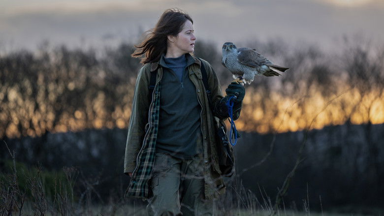 кадр из фильма H Is for Hawk