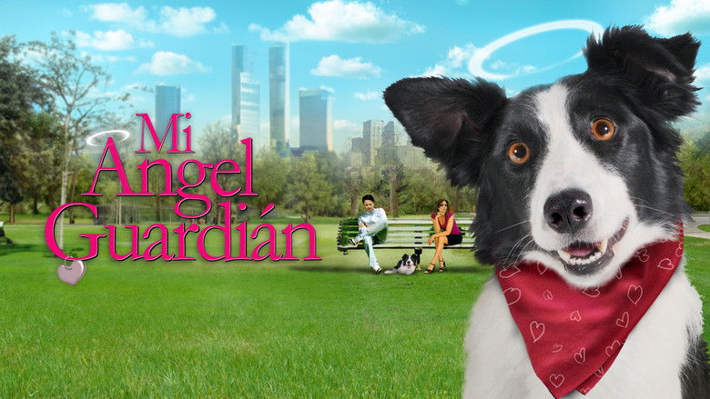 кадр из фильма Angel Dog