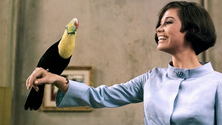 кадр из фильма What's So Bad About Feeling Good?